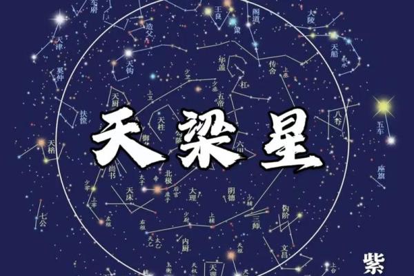 伟人紫薇斗数
