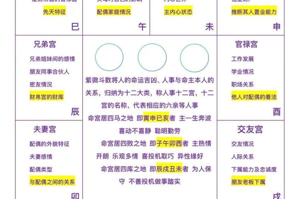 紫薇斗数看网红粉丝