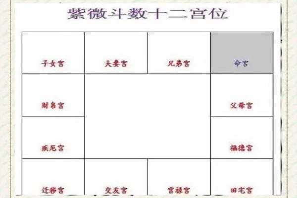 紫微斗数：命宫主星看你跟哪种老板最投缘