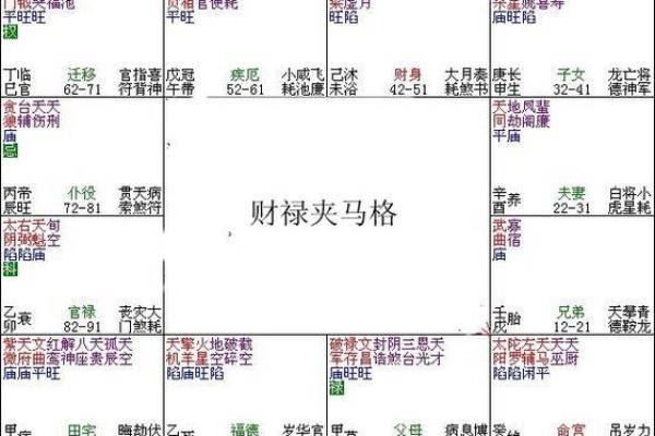 进退马紫薇斗数