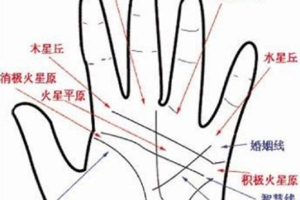 手相算命：生命线断开图解