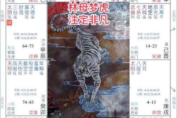 紫薇斗数嫁贵夫