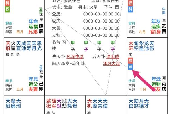 紫微斗数的权星,紫微权忌定位