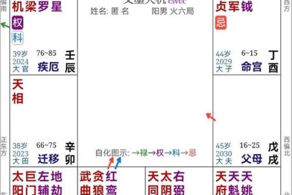 紫薇斗数视频