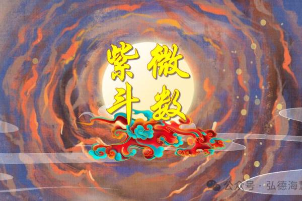 紫薇斗数视频