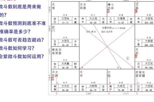 假从紫微斗数 紫微斗数实战？