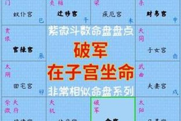 紫薇斗数兄弟破军