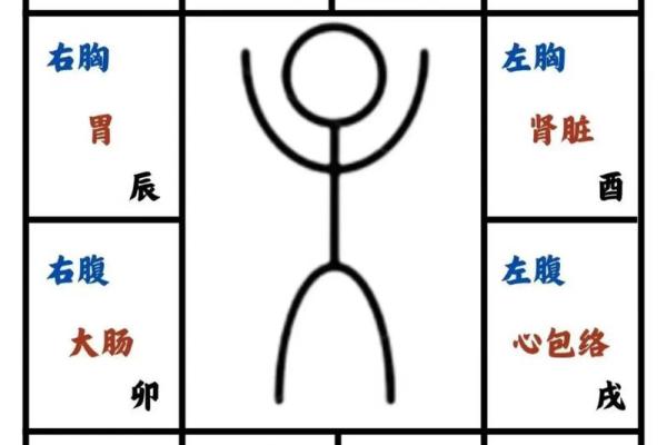 揭露紫微斗数 紫微斗数介绍？