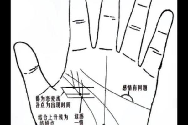 看手相算命：第一课 手相概论
