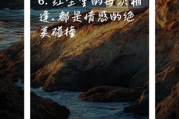 红尘相遇紫薇斗数