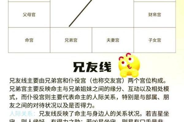 紫薇斗数看配偶年龄
