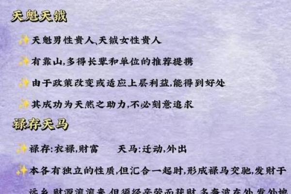 紫微斗数术语解释之：流星