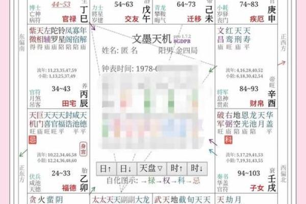 紫薇斗数看才华