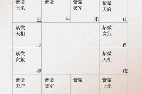 紫薇斗数怎么看命宫6