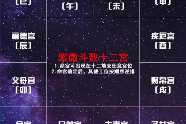 迁移宫看在外吉凶#紫微斗数教学