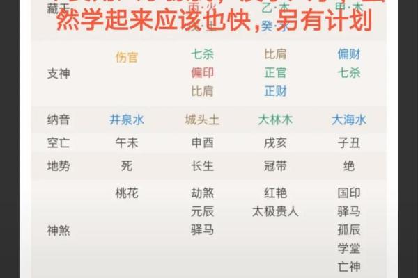 紫薇命理斗数app