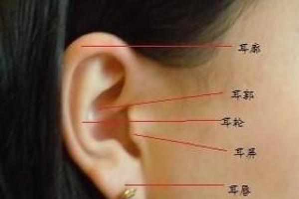 耳朵算命耳朵看运势大全,耳朵命运图解