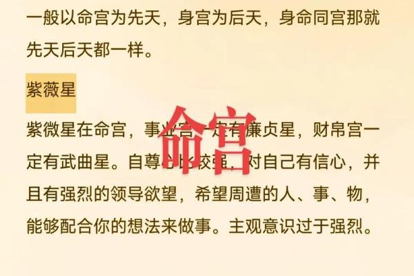 紫薇斗数事身什么意思