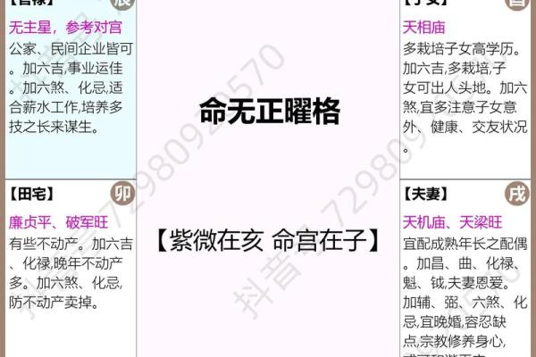 紫薇斗数看横财运