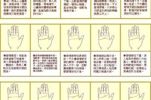 看手相算命图解：掌线
