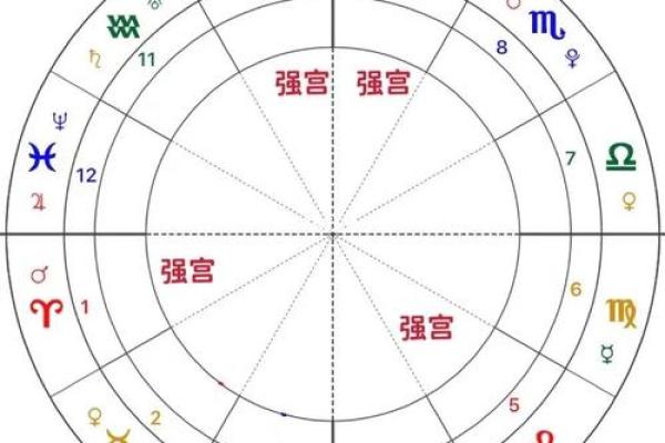 紫薇斗数基础盘
