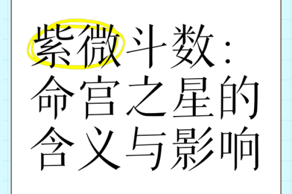 紫微斗数成大事的命格,官禄宫事业领导力强