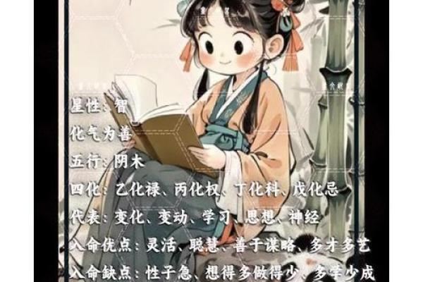 天机紫薇斗数长相
