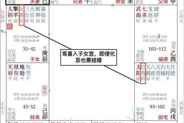 紫微斗数之夫妻宫与诸星，天梁星在夫妻宫是什么意思？
