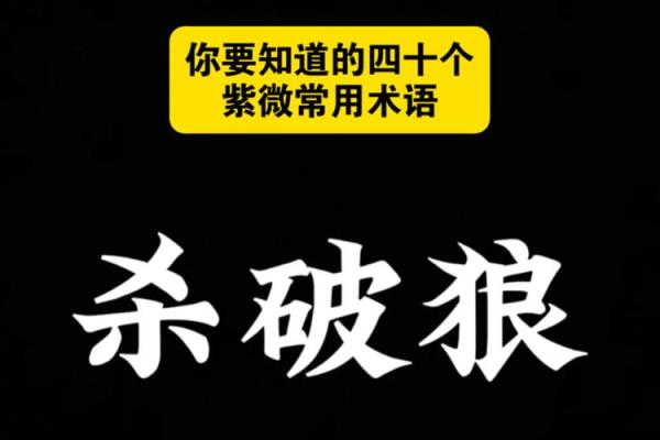 紫微斗数置闰 紫微斗数术语？