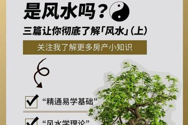 风水：商业本质共通下风水秘诀