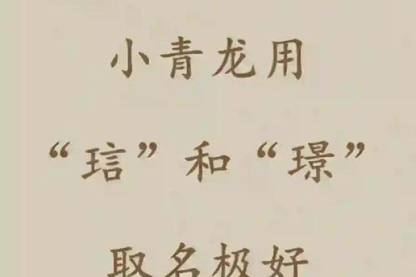 网名风水曌