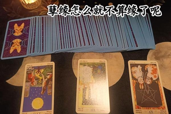 塔罗测试你和前任谁过得好 分手后谁过得更好