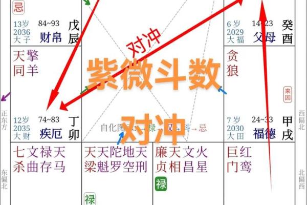 紫薇斗数化禄在夫妻宫