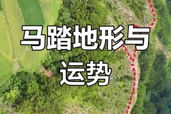 我们如何打造催人丁兴旺的风水