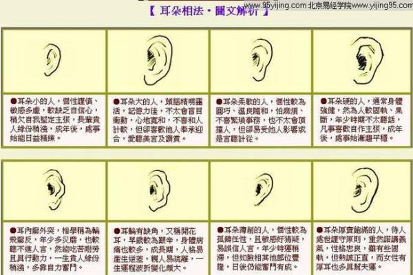 从面相看耳朵，耳朵面相算命图解