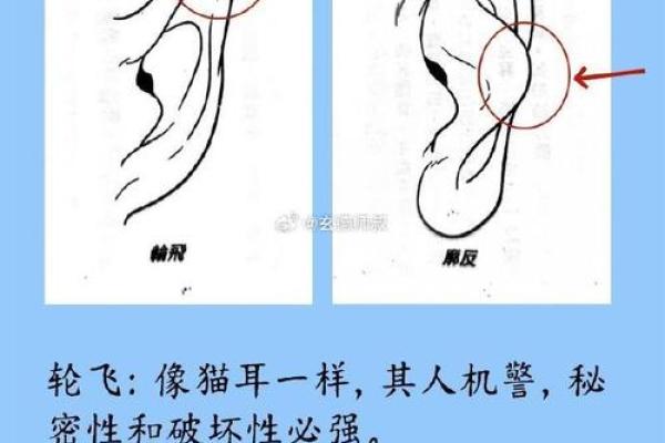 从面相看耳朵，耳朵面相算命图解