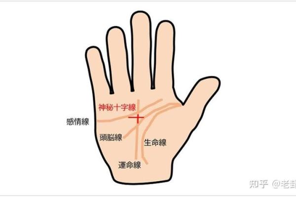 民间手相和指纹的算命口诀顺口溜