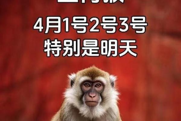 属猴生辰八字