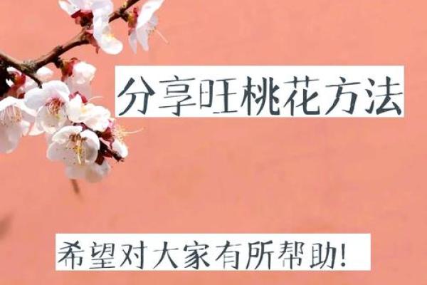 四大妙招，教你利用风水催桃花