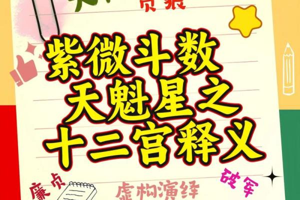 babyvv紫薇斗数吧