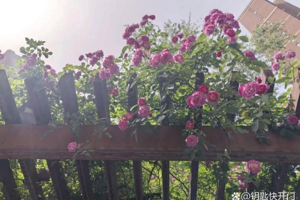 八字围花