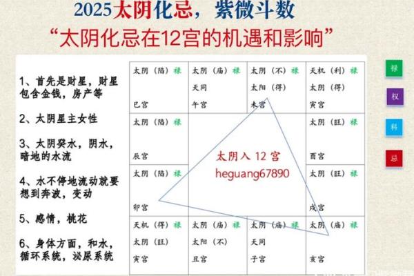 紫薇斗数太阴视频