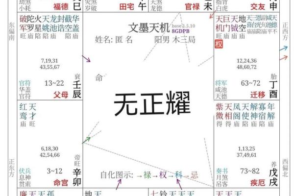 紫薇斗数正耀