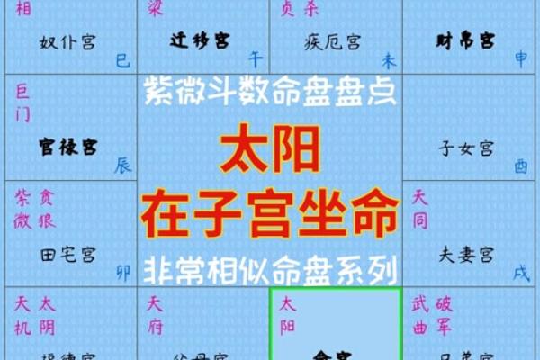 紫薇斗数子午宫