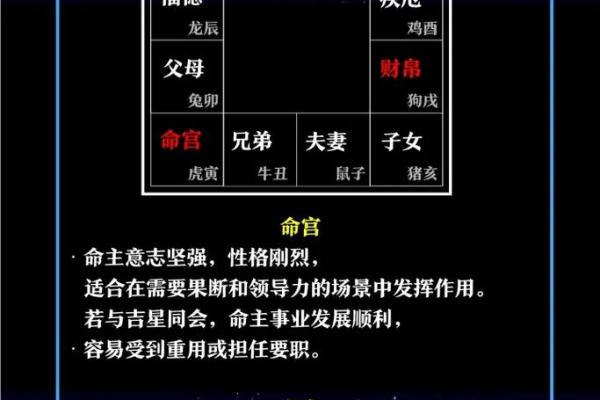 测紫薇斗数app