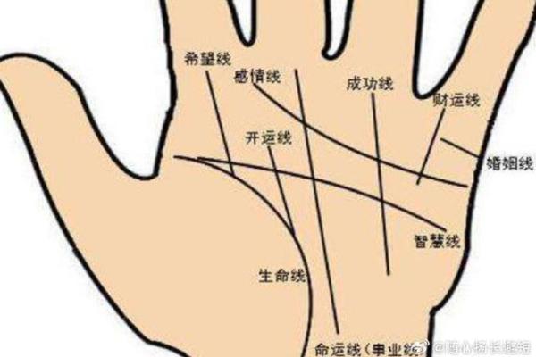 女生手相看命运，解析八字大全