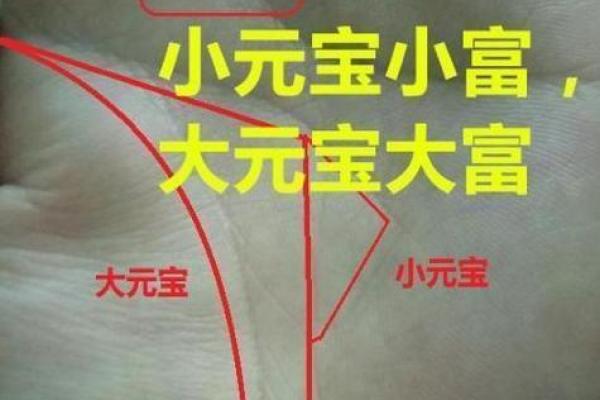 图解：手相金星环算命