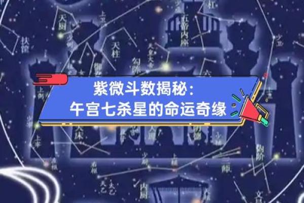 紫薇斗数紫薇七杀在亥