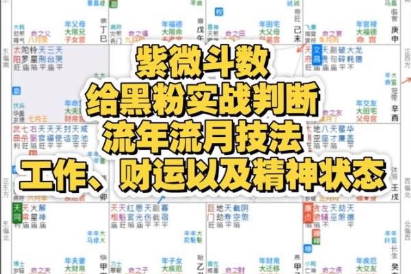 排紫薇斗数流年