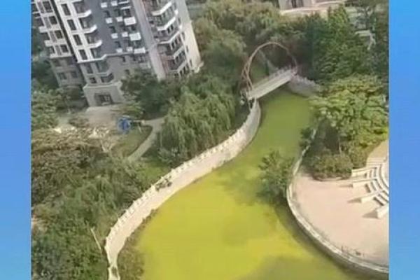 门前有小河的房子风水